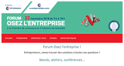 Desktop Screenshot of osezlentreprise.com